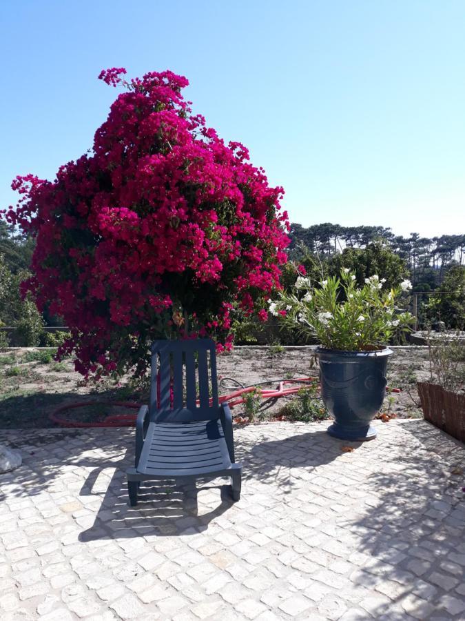 Plage Et Foret Pobral Exteriér fotografie